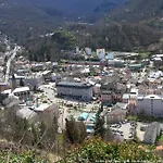 Les Acacias